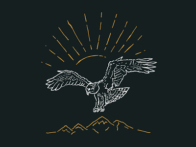 >>-- Osprey --> bird fine art flying hand drawn illustration line art mountains osprey rough sun