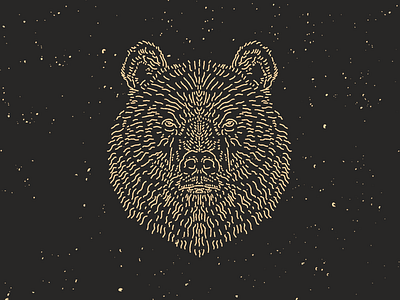 Grizzly Bear bear illustration line art line work logo mark northwest rough shirt texture tshirt