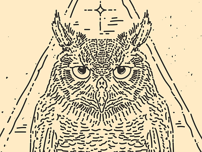 Owl Eyes drawing eyes illustration line art owl star vector
