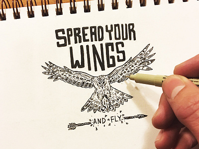 Spread Your Wings bird fly flying hand drawn hand type hawk lettering pen and ink sketch typography wings
