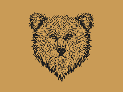 Brown Bear 2 cents bear hand drawn hoodie illustration line art outdoor tshirt