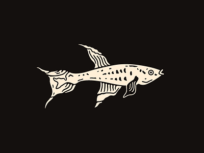 Lyretail Killifish - Gillustrations fish gillustrations handdrawn lyretail sketch swimming water