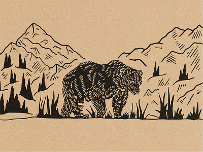 Bear Illustration bear handdrawn illustration merch mountain mug design shirtdesign trees