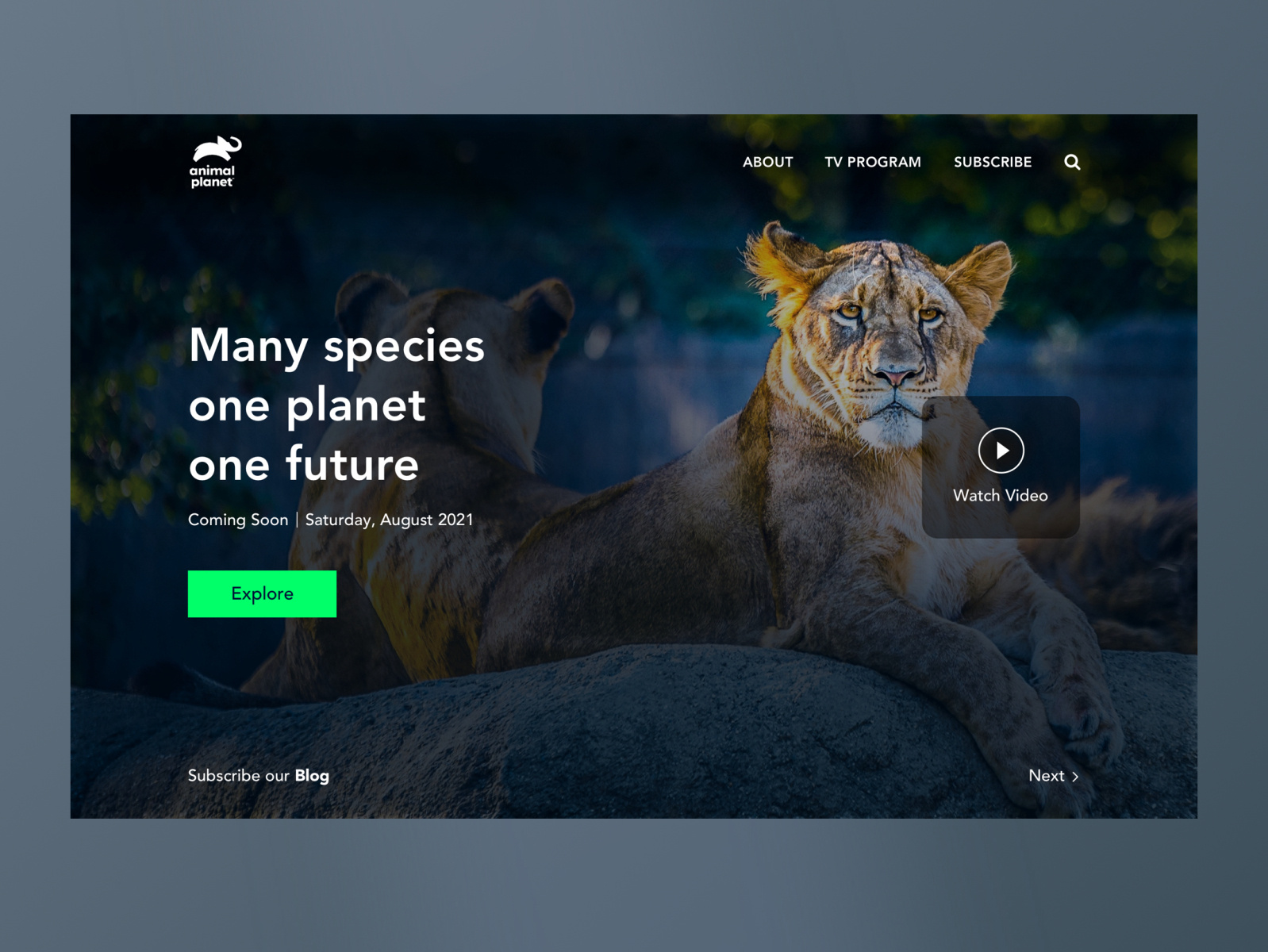 Animals website design by Anurag dubey on Dribbble