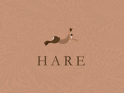 Hare Logo Design brand brand identity branding branding design icon illustration logo logo design logodesign logos