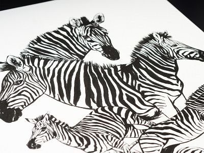 Zebra Wildlife Print animal animals artist artwork black design illustration illustration art illustration design illustrations illustrator illustrators ink pen and ink print white wildlife wildlife art zebra zebras