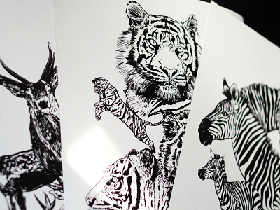 Wildlife Prints