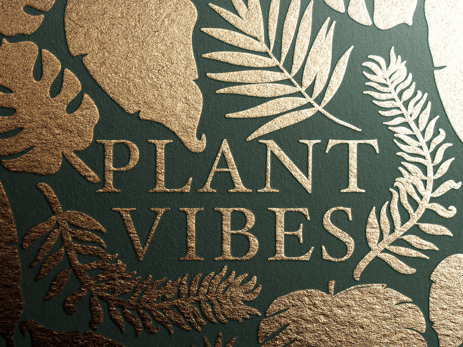 Plant Book Cover Illustration by Jack Gunns on Dribbble