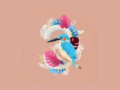 36 Days of Type Number 3 36 days of type 36daysoftype animal art animals bird art bird illustration birds blue design designer illustration kingfisher nature nature illustration plant illustration type type art typography art wildlife art wildlife illustration