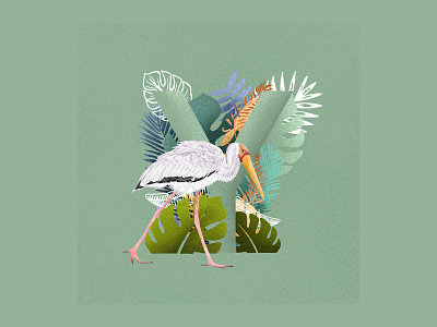 36 Days of Type Letter Y 36 days of type 36dayoftype animal art animal illustration bird bird illustration birds colour palette design illustration illustration art illustrations letter y nature nature art nature illustration plants sketch stork type