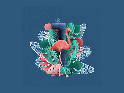 36 Days of Type Number 1 36 days of type 36daysoftype bird bird illustration birds colorful colour palette colour palette inspiration design flamingo flamingos illustraion illustration illustration art nature number 1 numbers type type art wildlife illustration