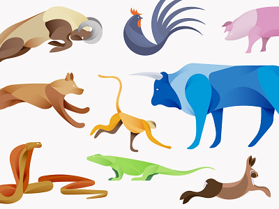 Chinese Zodiac Animal Illustrations