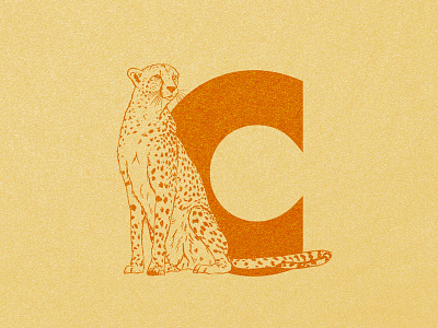 C for Cheetah