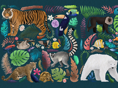 Our Planet Biodiversity activist animals biodiversity branding climate climate change digital art digital artist hand drawn illustration illustrator nft artist planet procreate ui wildlife