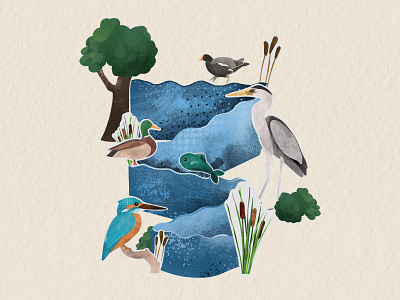 River Wildlife Illustration