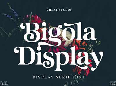 Bigola Display Serif beautiful font branding design elegant elegant serif fonts logo font modern serif retro font serif font vintage font