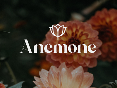 Anemone - Flowers shop logo design artwork behance branding design dribbblers graphic design graphics illustrator logo photoshop portfolio