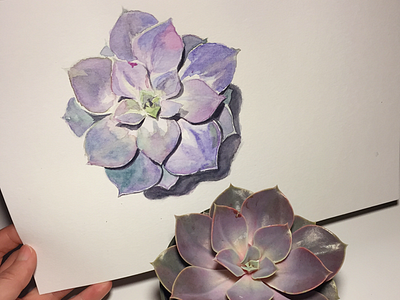 Cutie succulent come to my paper