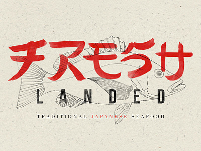Fresh Landed logo test 1 draw fish illustration japan japanese lettering logo seafood sushi ui wip