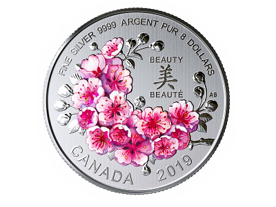 Canadian Silver Dolar Coin "Brilliant Cherry Blossom" (2019) botanical canadian decorative decorative art digital art drawing flower illustration illustration product design watercolor
