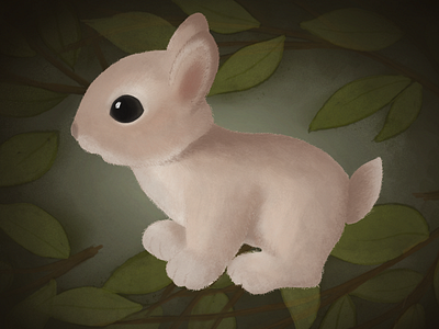 Little Rabbit