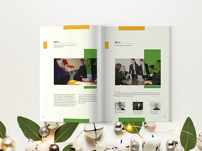 Business Brochure Design