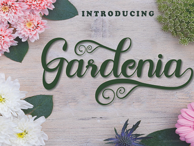 Font Gardenia classic design font modern design