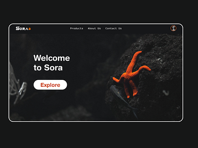 Sora - Explore the sea adobe xd adobe xd photoshop ui ux adobexd design ui ui design ui designer ux web design webdesign