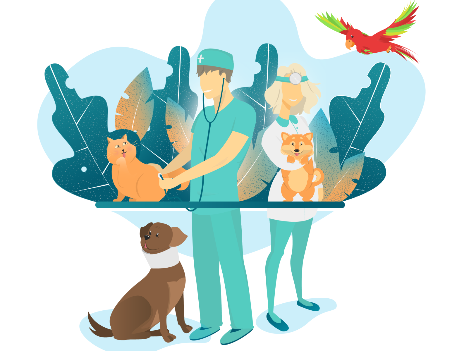 Animals care by Monika Manolova on Dribbble