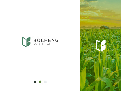 BC agriculture branding design logo