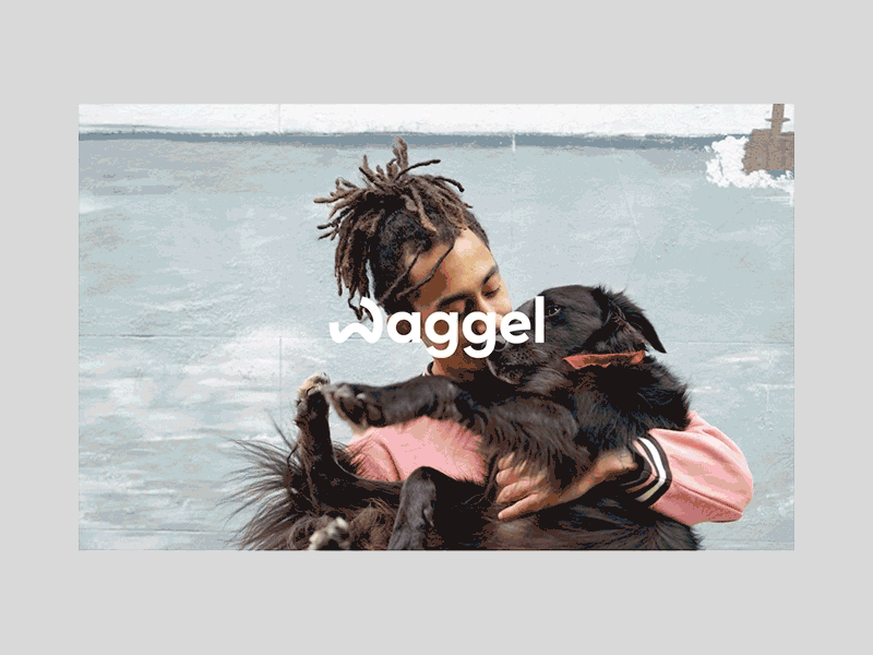 Waggel — Homepage Motion after effects animation design digital gif hero landing motion typography ui ux website