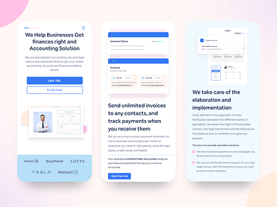 Flex Accounting I Personal Accounting Website Mobile Responsive