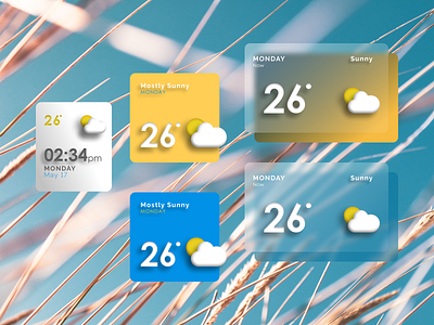 Weather App - Widgets UI Concept