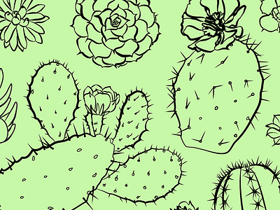 Succulent Fever cacti digital draw drawing green ink organic pen plant plants succulent succulents
