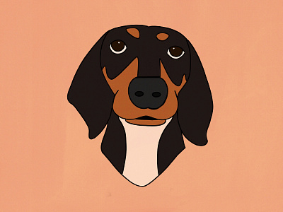 Cheesy dachshund dog dog art drawing illustration ipad ipad pro pink procreate puppy sketch weiner dog