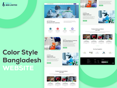 Color Style Bangladesh Website Design design landing page ui ui design ux web