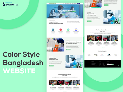 Color Style Bangladesh Website Design