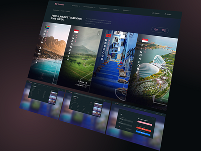 Travelar - Travel Website, Concept Website