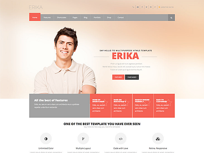 Erika Multipurpose WordPress Theme