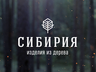 Siberia logo by Darya Sellest on Dribbble