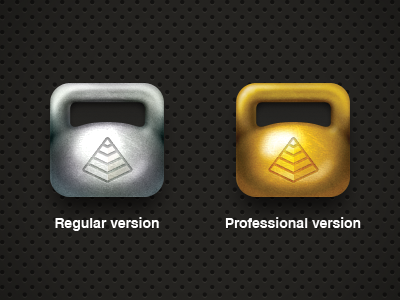 Personal trainer detailed gold icon ios ipad iphone lifting metal personal power silver trainer weight