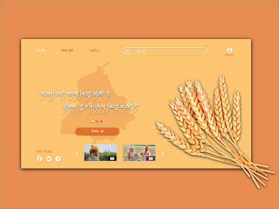 My Motherland Punjab color palette design homepage homepage design ui ui design uidesign ux design xd design