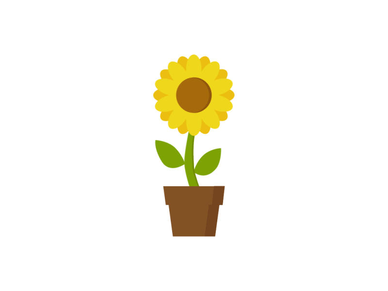 Sunflower 🌻 2danimation animation art design digital art digital illustration flat design gif illustration loop minimal minimalistic motion motion art motion design simple sunflower vector vector art