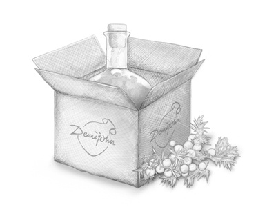 Demijohn - The Liquid Deli - Order Success Illustration bottle box demijohn e commerce ecommerce fruit hand drawn illustration mouse sketch