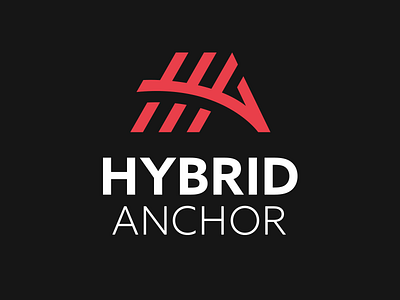 Hybrid Anchor