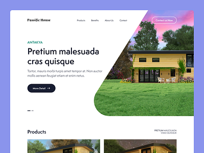 Passific House Web UI/UX Design clean design house ui ux web