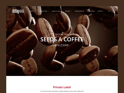 Detay Coffee Corporate Website Design clean coffee corporate design ui ux web