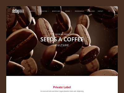 Detay Coffee Corporate Website Design