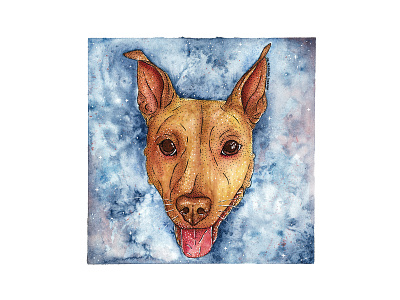 Willow 2020 animal dog dogpainting dogwatercolor illustration painting rescuedog watercolor