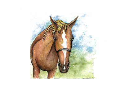 Morgan 2020 animal farmanimal horse horsepainting horsewatercolor illustration painting watercolor
